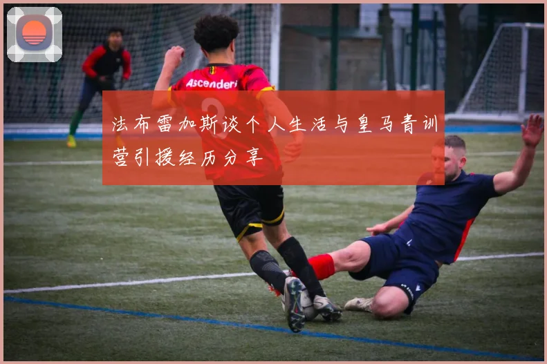 法布雷加斯谈个人生活与皇马青训营引援经历分享