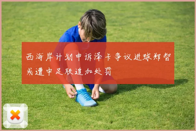 西海岸计划申诉泽卡争议进球郑智或遭中足联追加处罚